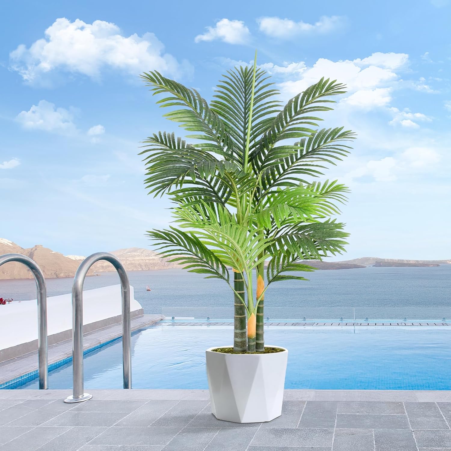 Three Stem Golden Areca Palm Tree